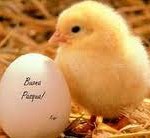 Offerte Vacanze Pasqua Week end Pasqua 2013 Piemonte ! Offerte Vacanze Pasqua Week end Pasqua 2013 Piemonte !